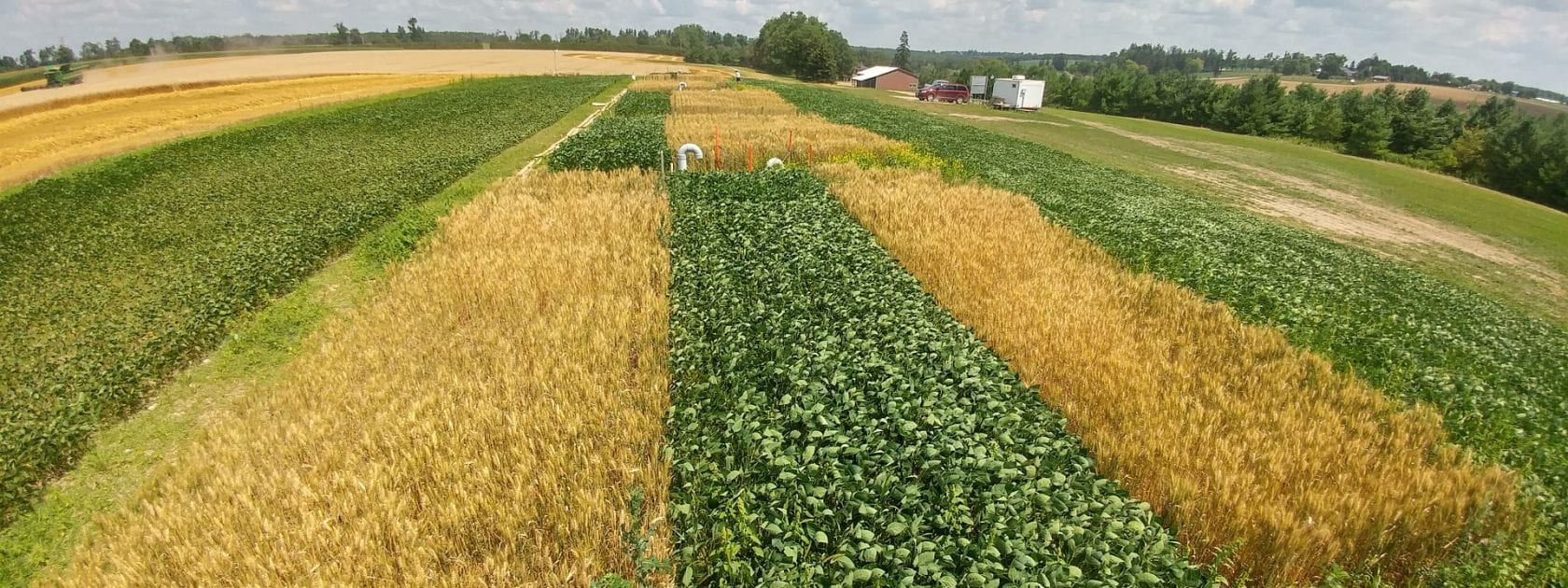 Lysimeter Site in Wheat and Soybean