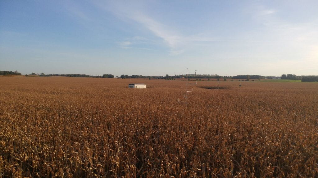 Wind Speed Monitoring in Corn Field
