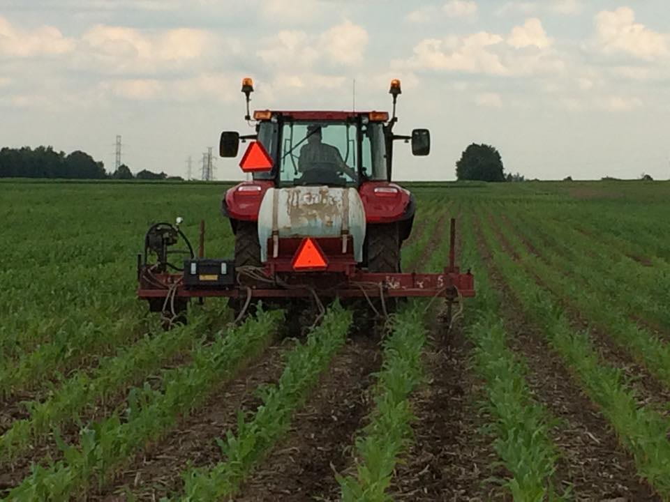 Tractor applying sidedress fertilzier to corn