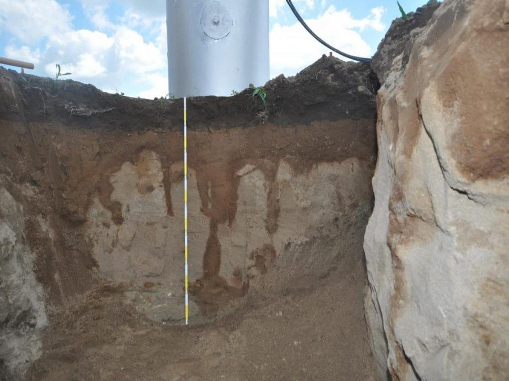 Soil profile from the lysimeter extraction process